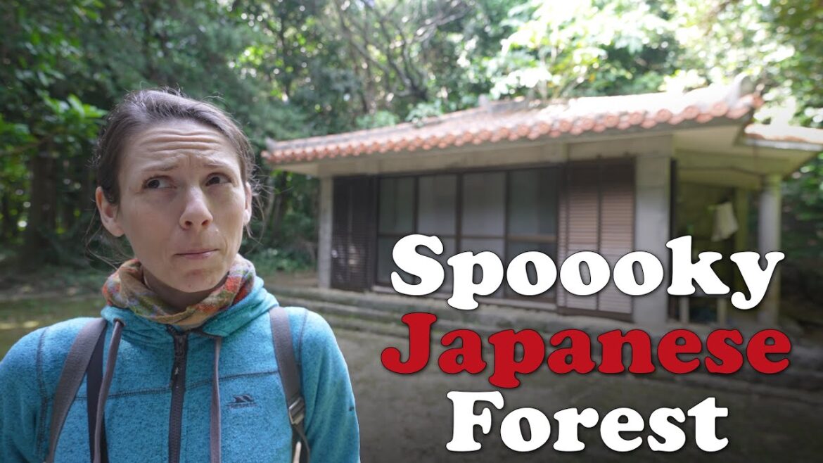 A spooky forest on a tiny Japanese Island in Japan! A spooky forest on a tiny Japanese Island in Japan!