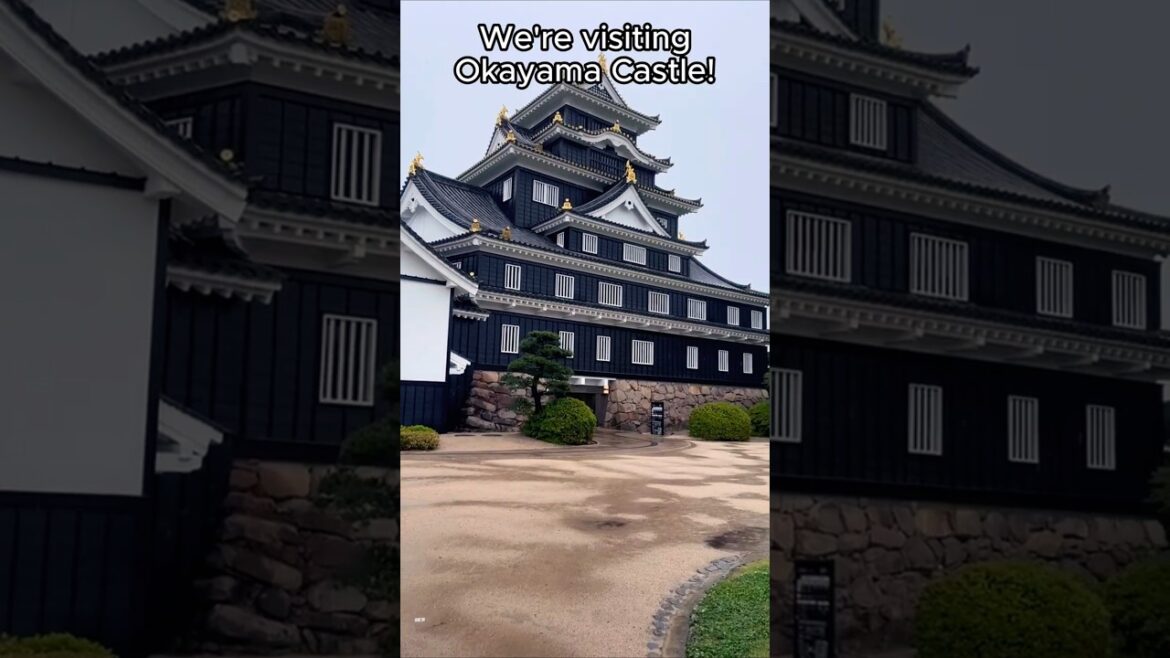 Okayama Castle: Japan’s Stunning Black Castle 🏯