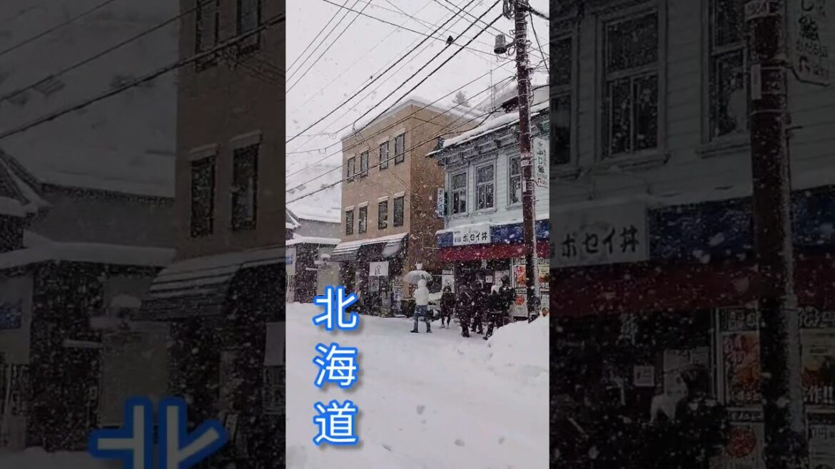北海道|小樽|大雪|超美必看！日本旅遊|Hokkaido#Shorts