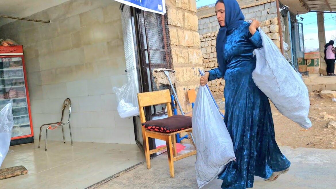 Does Elham plan to be with Mohsen for four years or not? Does Elham plan to be with Mohsen for four years or not?