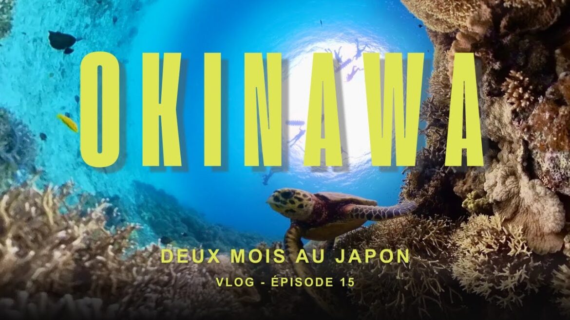 OKINAWA 🇯🇵 - Plongée dans une île aux milles visages - beauté Japonaise et SOUVENIRS GRATUITS