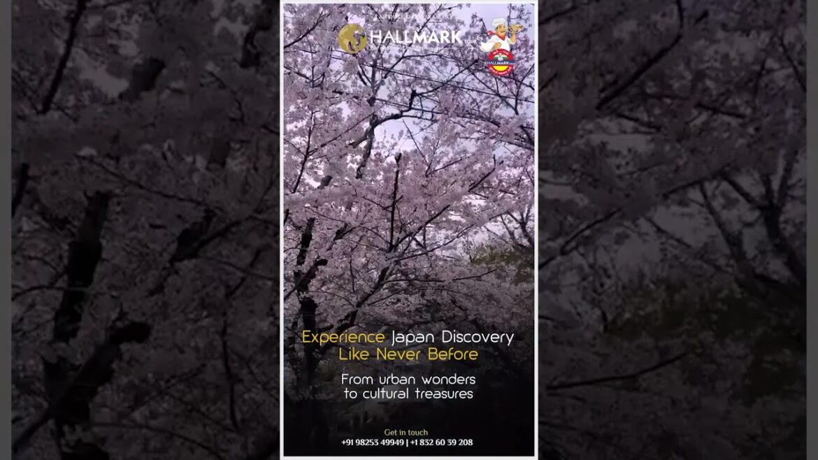 Travel and discover Japan in a whole new light | Hallmark Tour