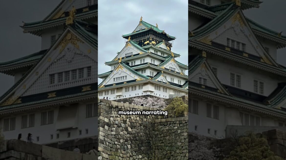 Top Attractions to Visit in Osaka