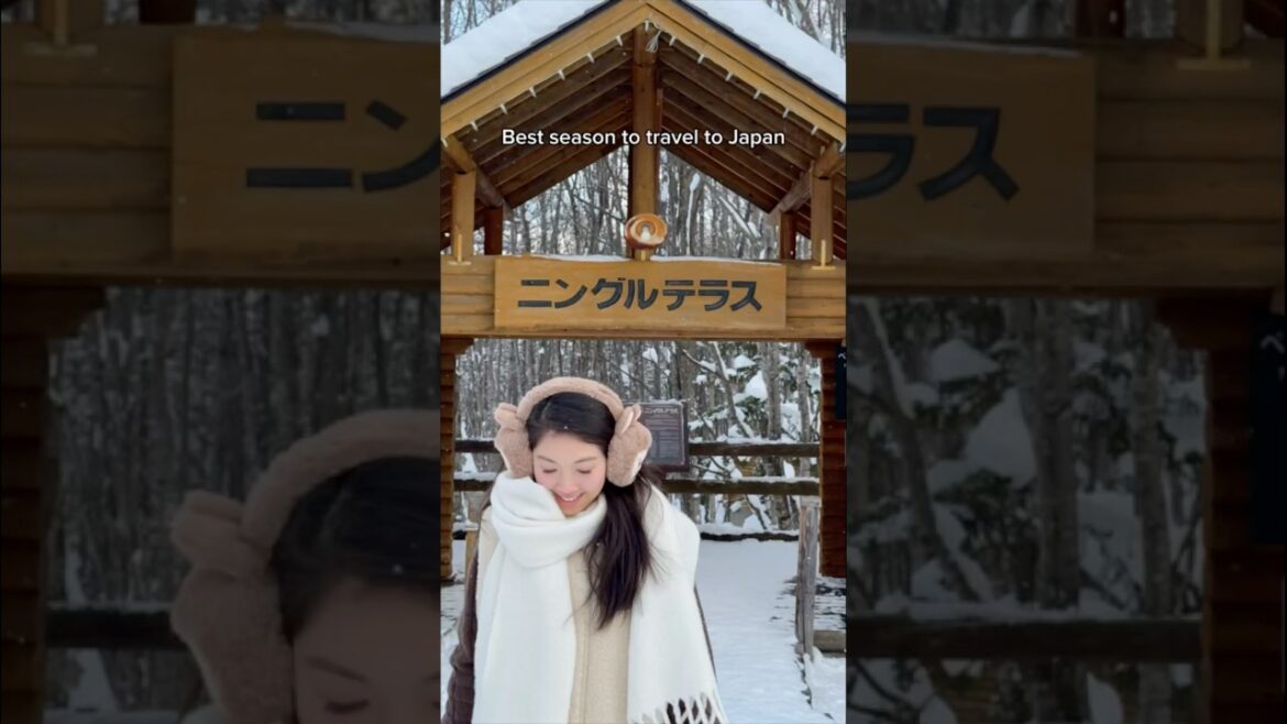 Best Time To Travel To Japan #japan