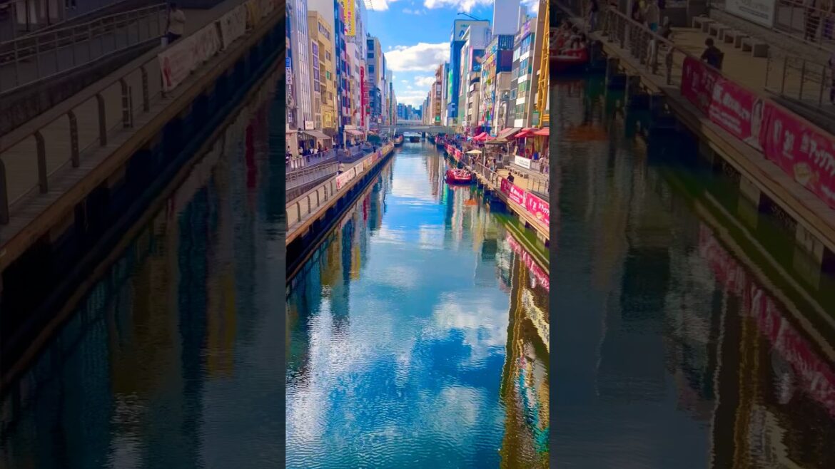 Most famous Osaka Dotomburi street be like  🇯🇵 #foryou #travel #osaka #japan #shorts #food