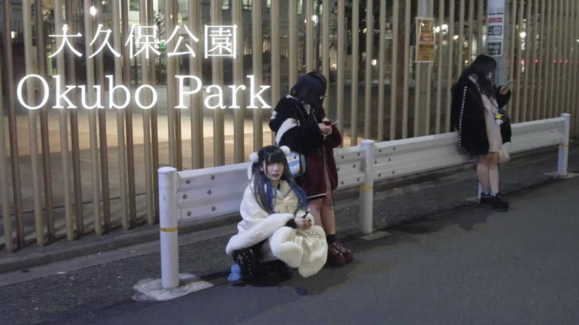 Strolling around the Okubo Park and hotel district at night in Kabukicho Strolling around the Okubo Park and hotel district at night in Kabukicho