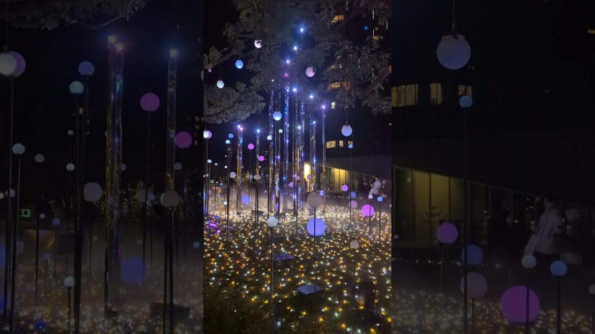 Exploring Tokyo, Japan I 2024  #shortsvideos #travel #tokyo #tokyo2024 #tokyo christmas #japan