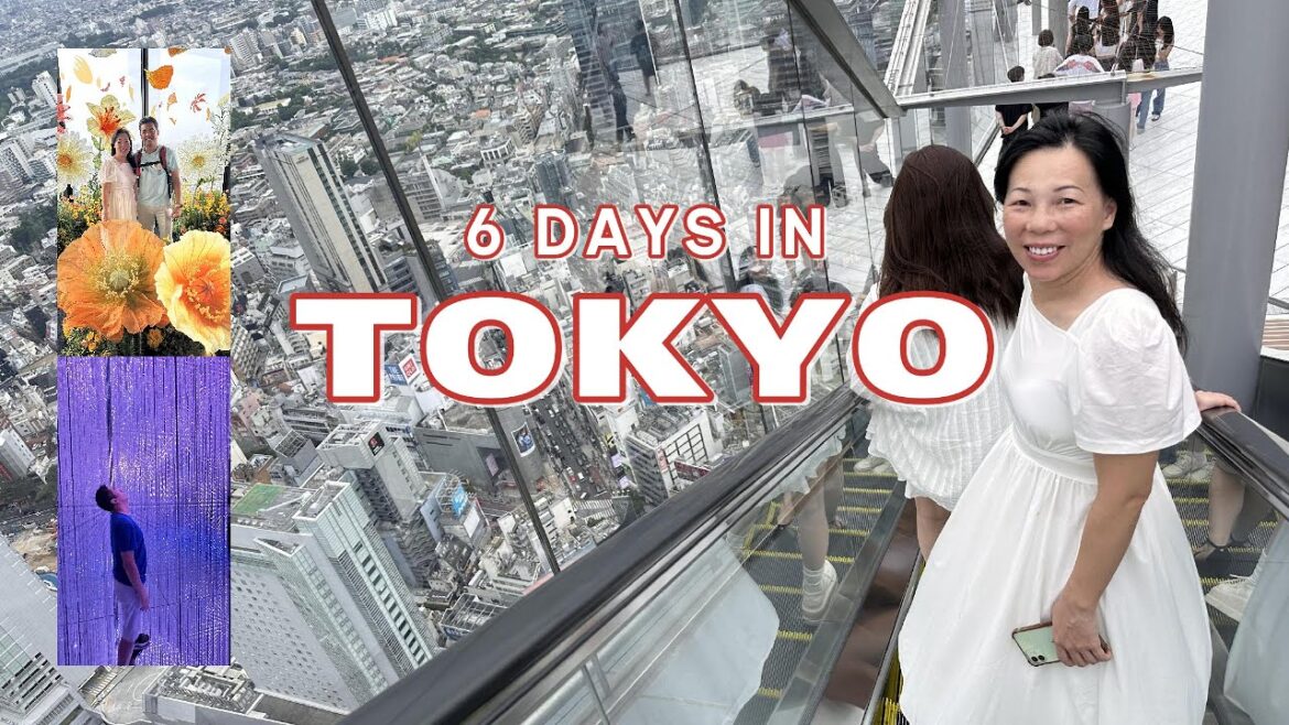 6 Days Exploring Tokyo – Must-Visit Attractions and Hidden Gems | Shinjuku | Asakusa | Shibuya 6 Days Exploring Tokyo - Must-Visit Attractions and Hidden Gems | Shinjuku | Asakusa | Shibuya