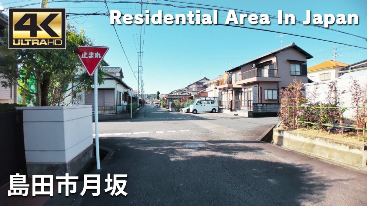 島田市月坂 - Residential Area In Japan / Walking tour / Japan / DJI Osmo Pocket 3
