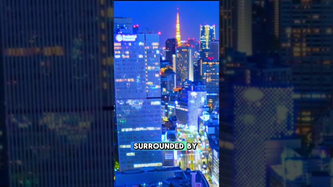 Tokyo’s Famous Shibuya Crossing: Adventures with Silly Suitcases #japan #travel #ytshorts #facts