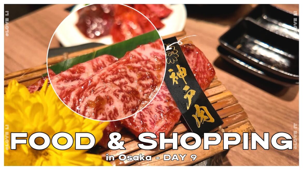 2024 Japan Travel Series | Day 9 | Japan Yakiniku | Marion Crepes | Godzilla | Shopping | Osaka