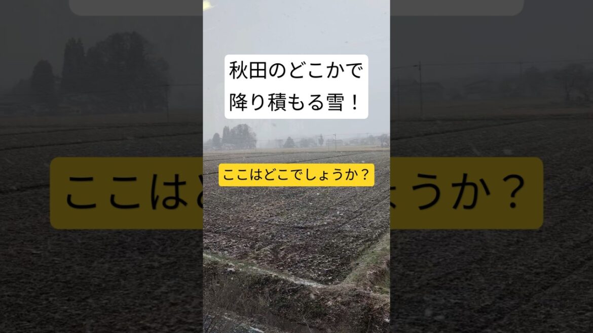 秋田県旅  雪が降る！！この場所はどこ？路線は？　#旅行 #秋田 #雪