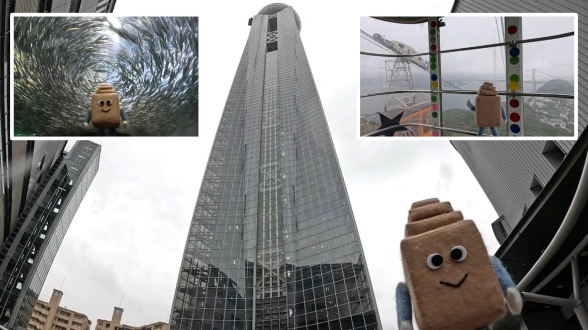 【Stamp Rally Series】18. Shimonoseki Kaikyo Yume Tower, Ropeway, Undersea Tunnel and Aquarium