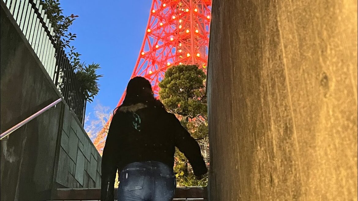 Magical Momiji Valley Light-Up & Tokyo Tower Night Walk | Stunning Autumn Views in Tokyo #japan Magical Momiji Valley Light-Up & Tokyo Tower Night Walk | Stunning Autumn Views in Tokyo #japan