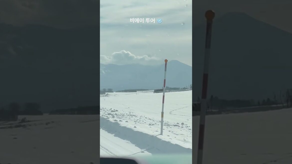 24년 12월 비에이 투어 #삿포로여행 #비에이투어 #겨울여행지 #일본여행브이로그