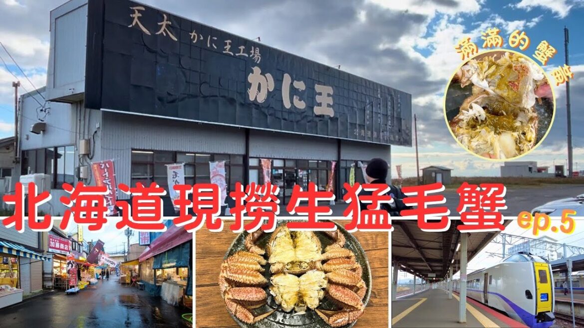 2024.11.03北海道7天6夜豪華之旅ep.5 登別車站附近現撈毛蟹かに王(kanio) 早起逛函館朝市#週末に楽しく食べよう ＃特急北斗 #japan travel vlog#hokkaido