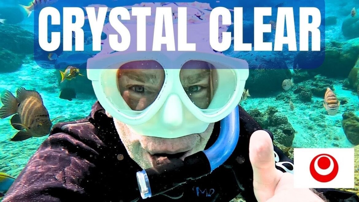 Explore The Stunning Snorkelling In Cape Maeda, Okinawa!