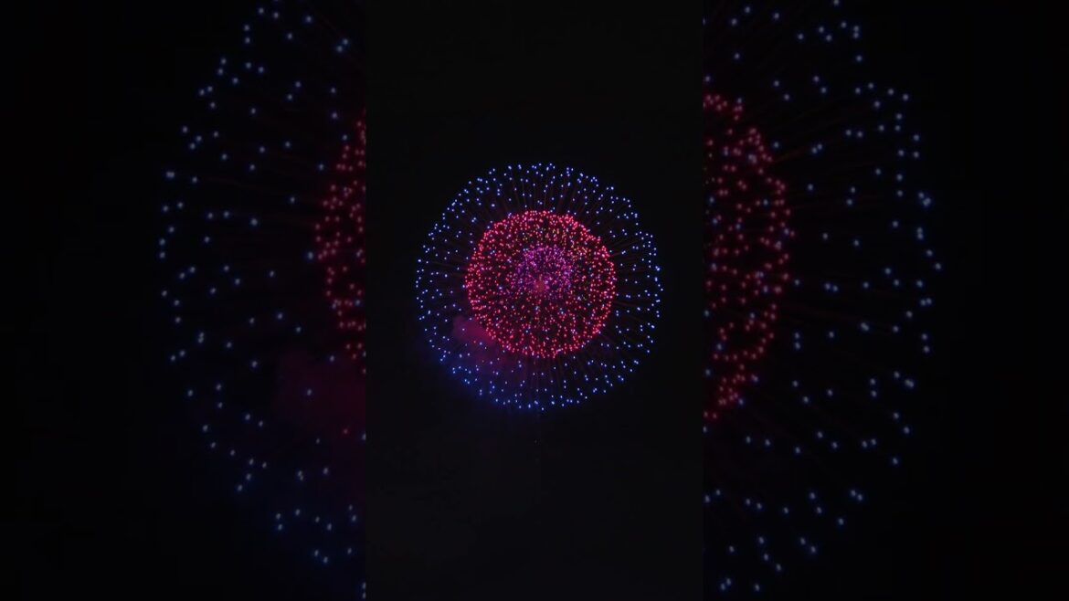 Japanese Artistic 12 inch shell Fireworks Displays - Nagaoka Hanabi 2024 長岡大花火大会 芸術 匠の花火