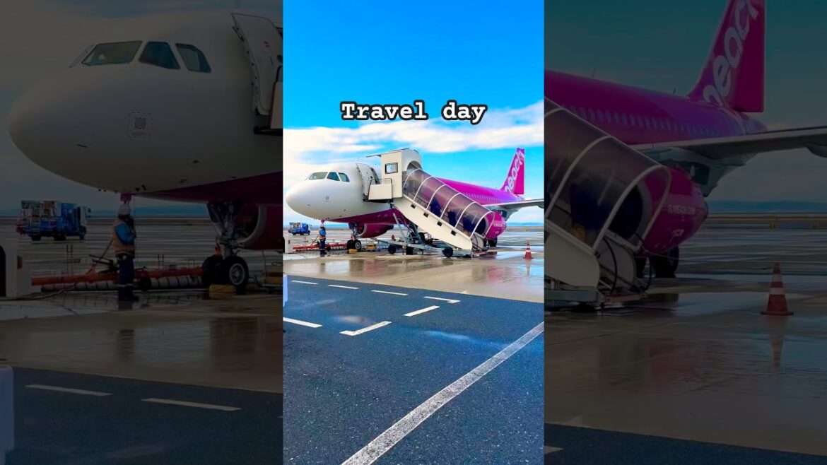Travel day #planestrainsautomobiles #travel #japan #ytshorts #life #xrp #crypto #peach #yo #flights