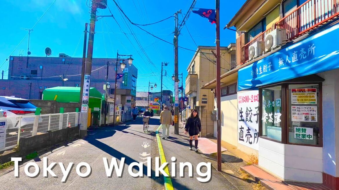 Japan Tokyo Walking Tour in Chohu City 4K