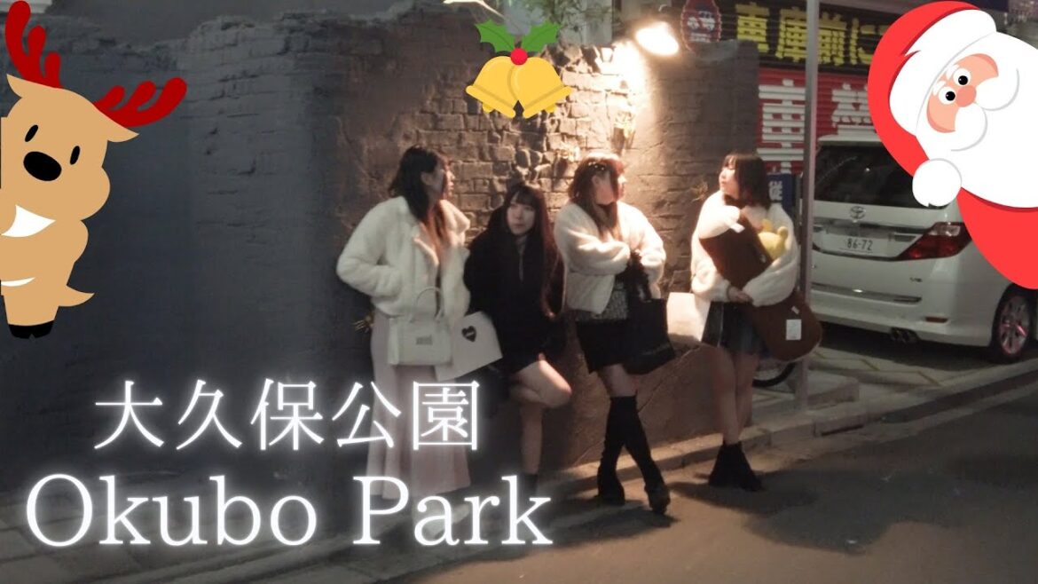 I walked around Okubo Park and the hotel district on Christmas Eve, and there were tons of couples! I walked around Okubo Park and the hotel district on Christmas Eve, and there were tons of couples!