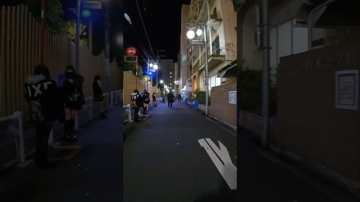 Okubo Park, which is surprisingly cold