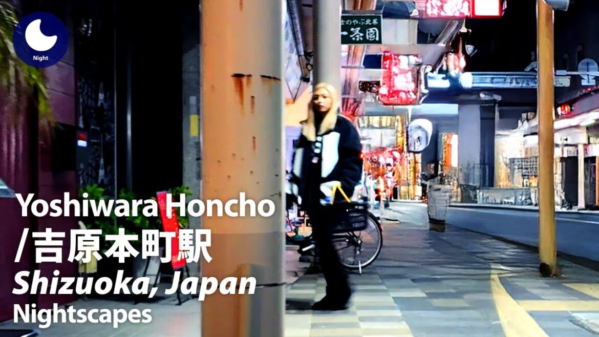 ⁴ᴷ Shizuoka: Yoshiwara Honcho Station (静岡県: 吉原本町駅) – Japan Walking Tour (December, 2024) ⁴ᴷ Shizuoka: Yoshiwara Honcho Station (静岡県: 吉原本町駅) - Japan Walking Tour (December, 2024)