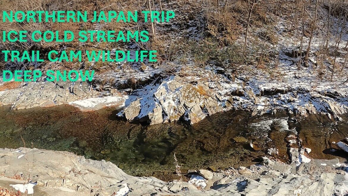 NORTHERN JAPAN TRIP | ICE COLD MOUNTAIN STREAMS | TRAIL CAMERA WILDLIFE | DEEP SNOW | WARM FIRE