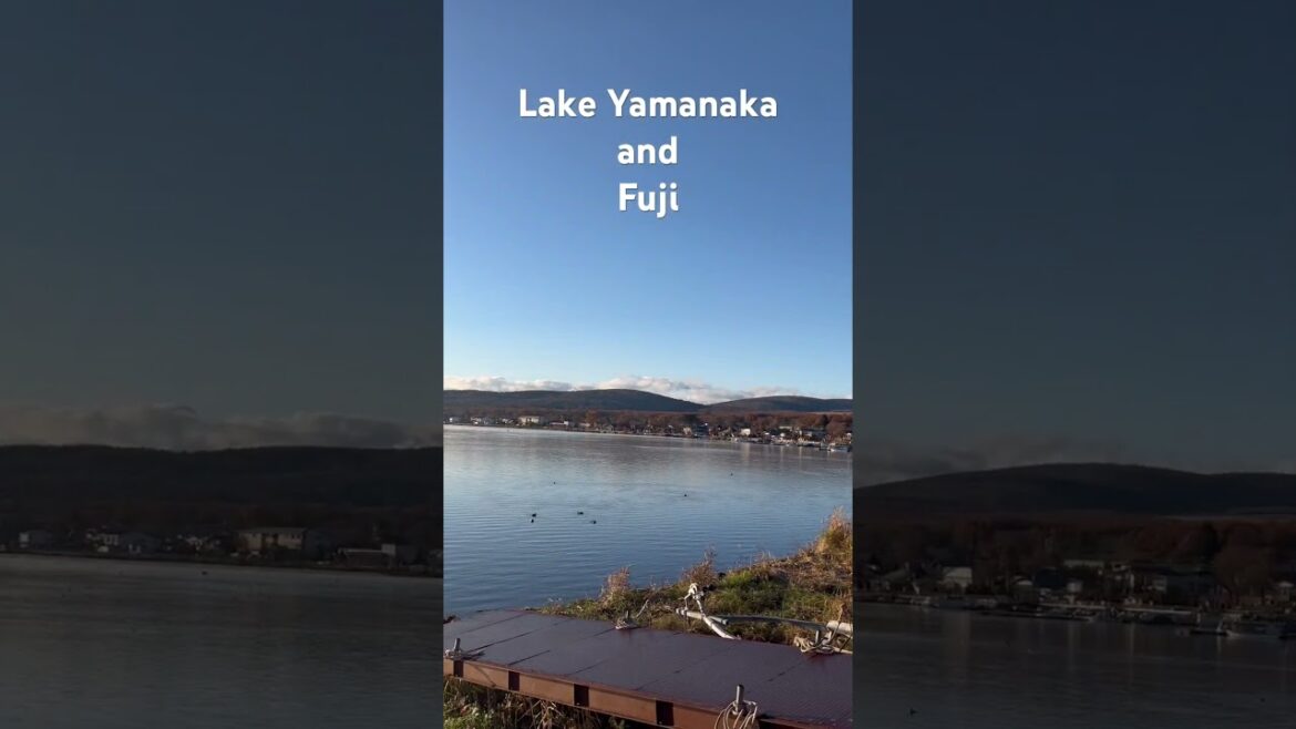 Lake Yamanaka and Fuji