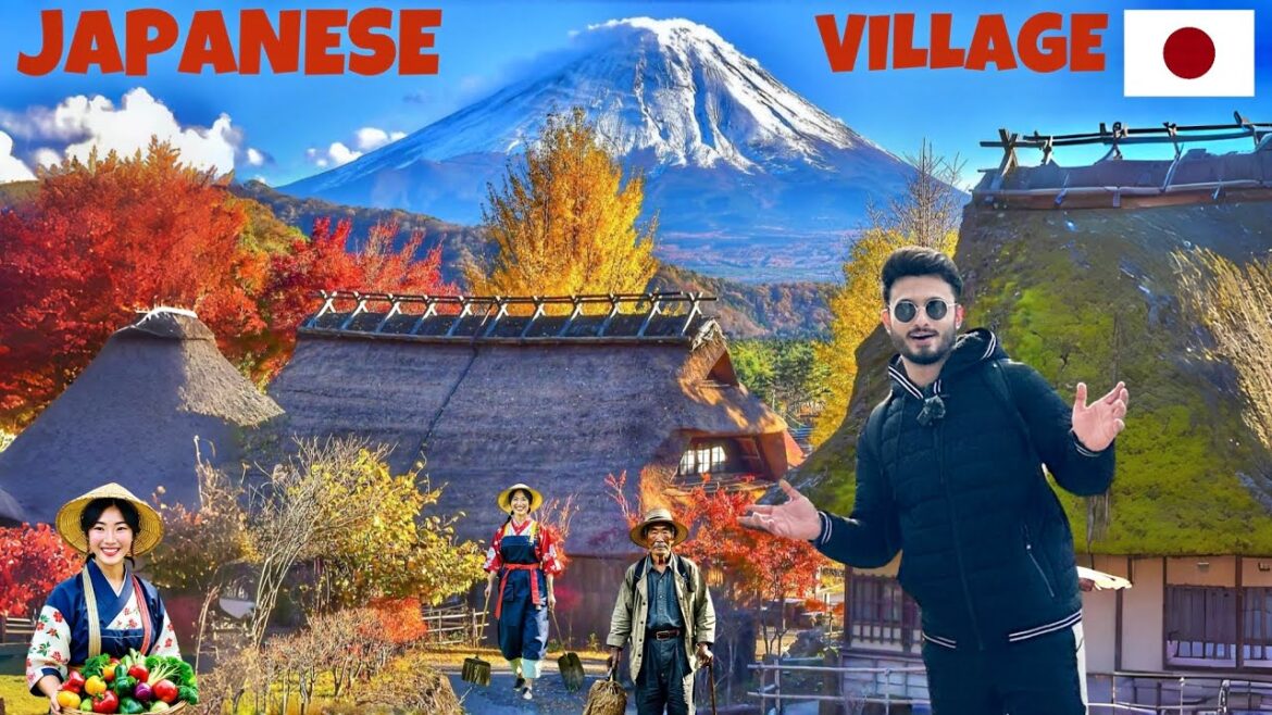 JAPANESE VILLAGE LIFE 🇯🇵 (I stayed in Japanese Home)😍