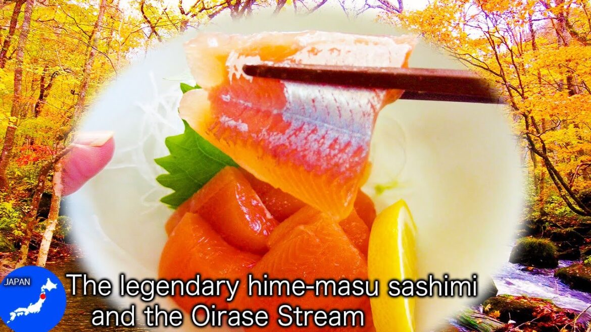 Japan’s countryside🚶|The hime-masu sashimi and The spectacular Oirase Stream|Gourmet Hot Spring #005 Japan's countryside🚶|The hime-masu sashimi and The spectacular Oirase Stream|Gourmet Hot Spring #005