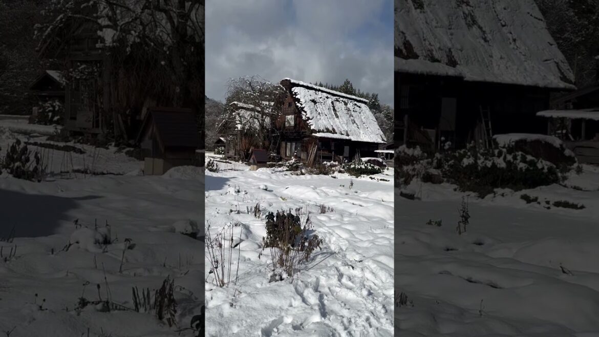 #shorts #snow #Shirawaka-go  #Nagoya  #Unesco site #world heritage village