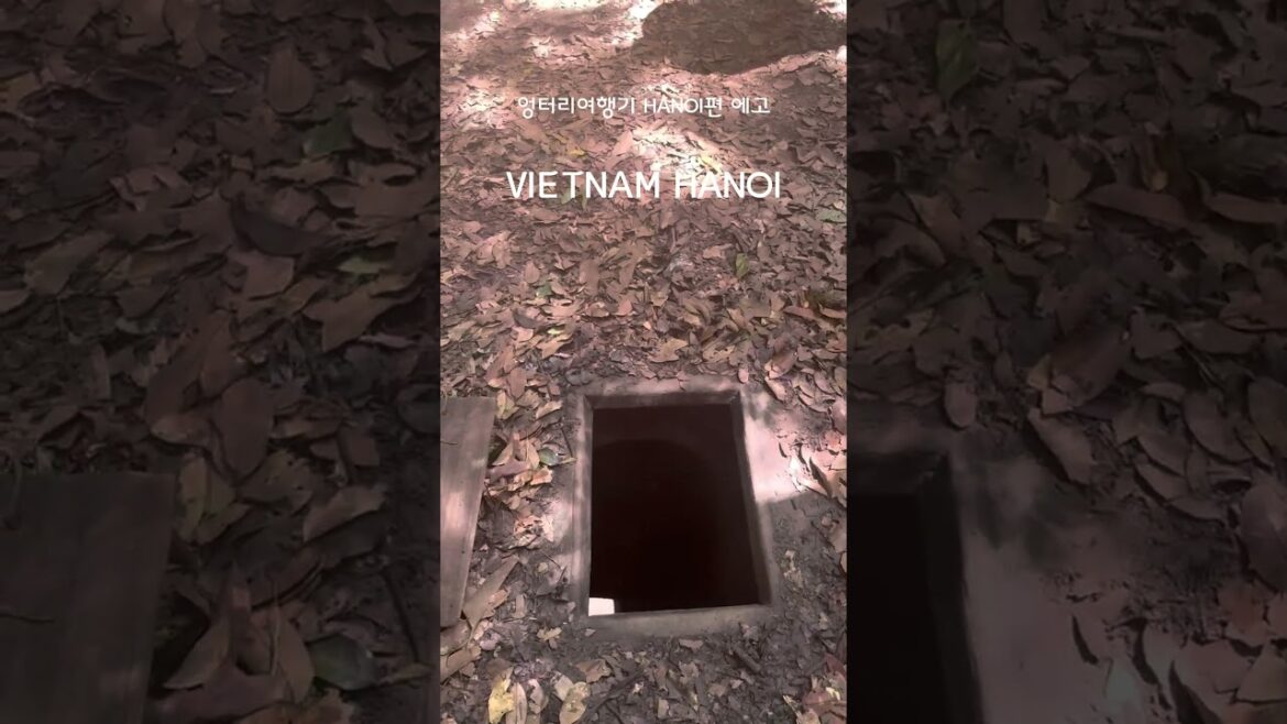 ★SHORTS026 VIETNAM Hochiminh 베트남 호치민의 구찌터널 CuChi Tunnel ★SHORTS026 VIETNAM Hochiminh 베트남 호치민의 구찌터널 CuChi Tunnel