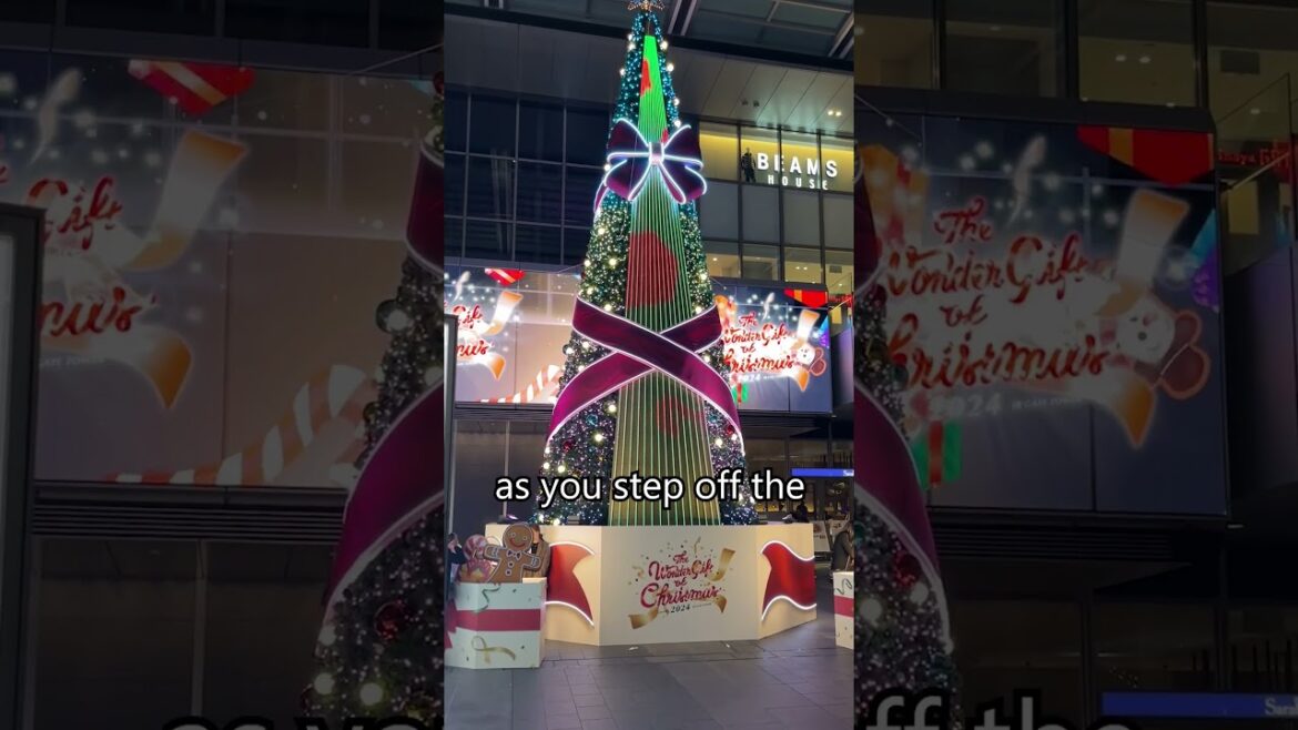Christmas Continues in Nagoya!