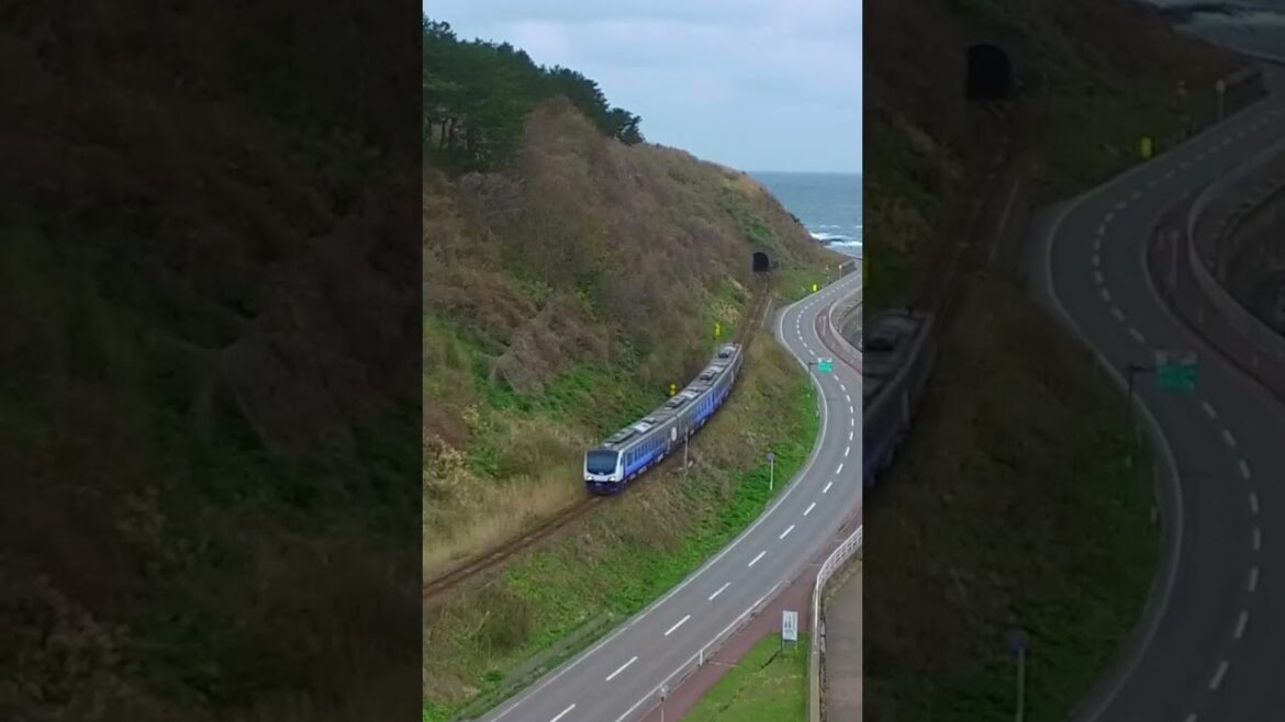 50 sec　Gono Line Train  Aomori  #japan 青森 五能線 電車 空撮 DJI 4K