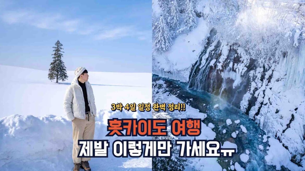 홋카이도여행 가장 인기 있는 코스 3박 4일 일정(삿포로, 비에이, 후라노, 오타루)