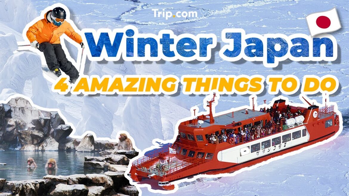 Winter Japan! ❄️ULTIMATE Japan Travel Guide 2025: 4 Amazing Things to do!!