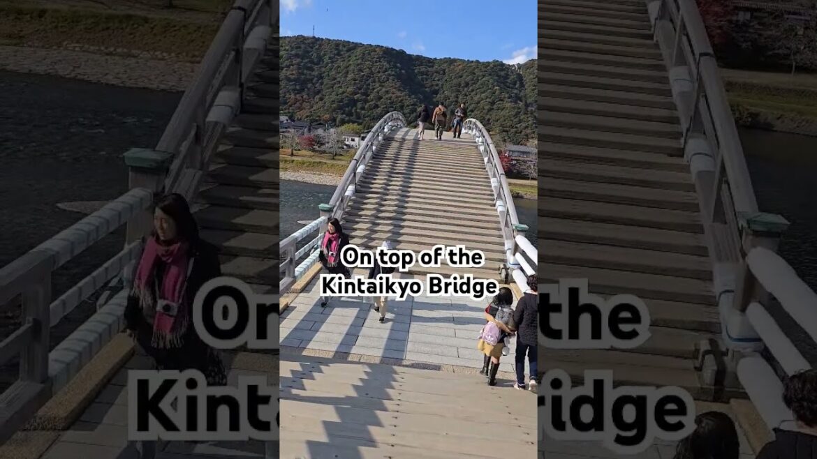 KINTAIKYO BRIDGE GOING TO IWAKUNI CASTLE #iwakuni #iwakunicastle #travel #travelvlog #shorts #trend