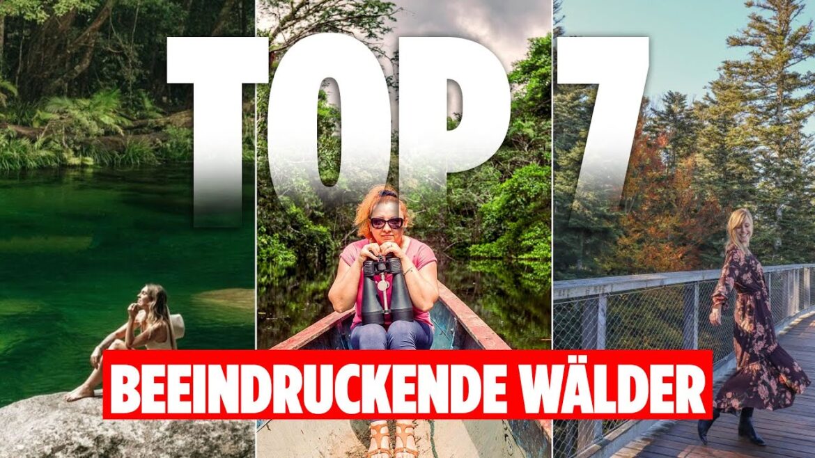 Die 7 schönsten Wälder der Welt | Explore Edge auf Deutsch Die 7 schönsten Wälder der Welt | Explore Edge auf Deutsch