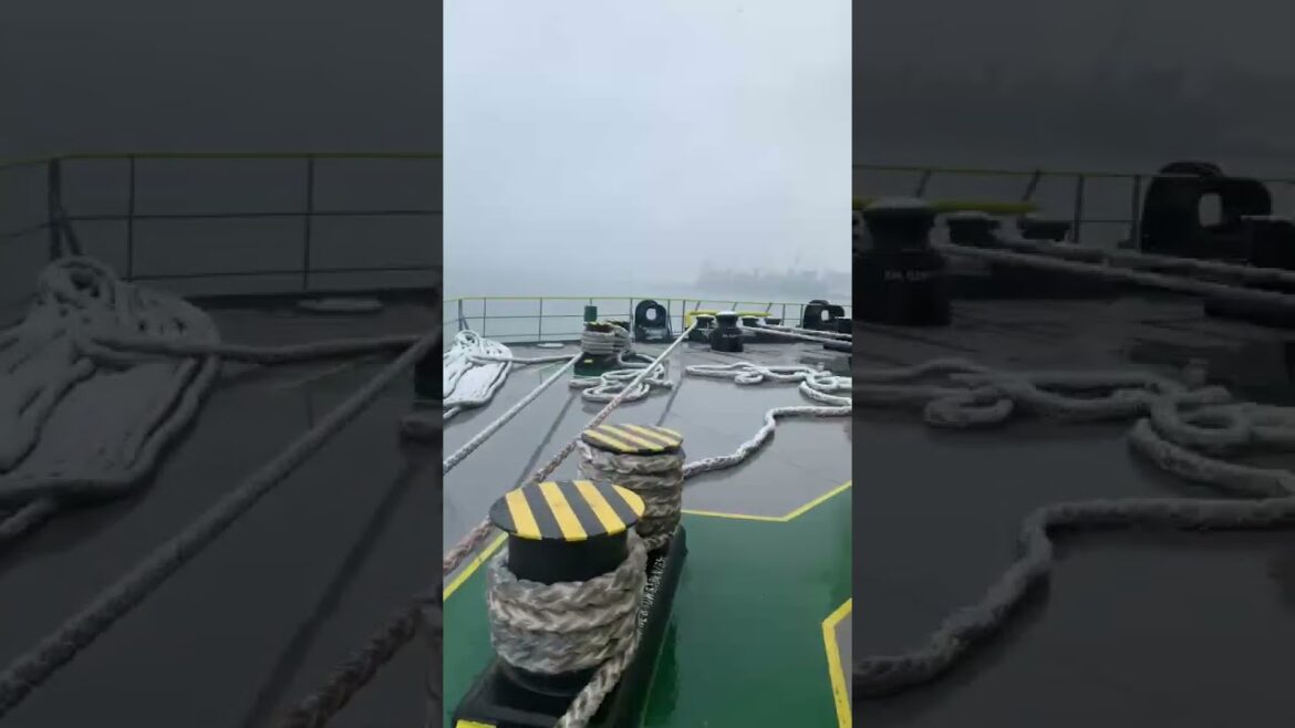 JUST A GLIMPSE OF NIIGATA, JAPAN. #shorts