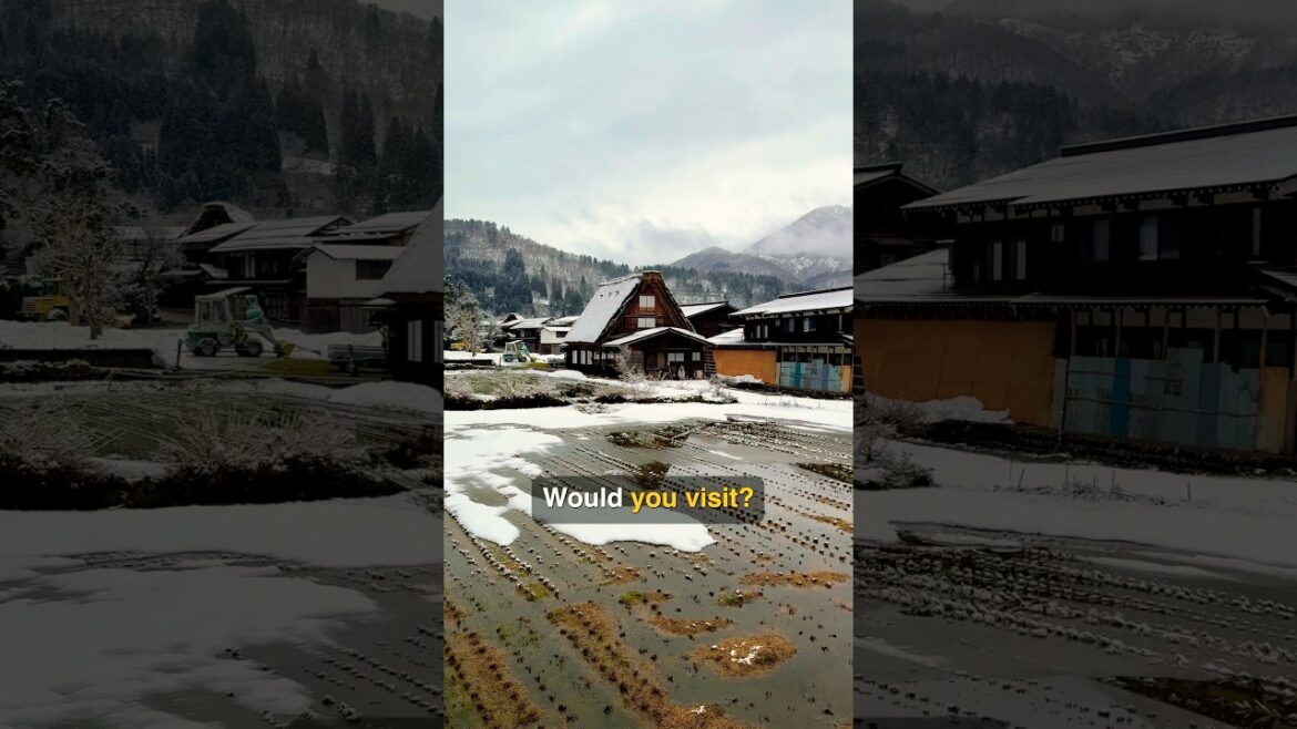 🇯🇵 Japan’s Winter Wonderland - Shirakawago, Gifu! #japan #japantravel #solotravel #travel #fyp