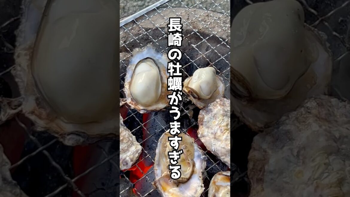 【ガチ濃厚】長崎の牡蠣がうますぎる#shorts