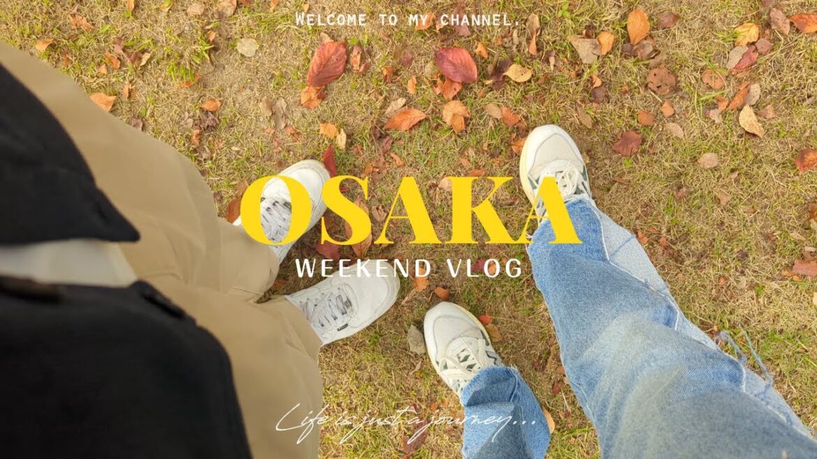 自然いっぱいの公園と人気グルメ|のんびり過ごす週末【OSAKA WEEKEND VLOG】 自然いっぱいの公園と人気グルメ|のんびり過ごす週末【OSAKA WEEKEND VLOG】
