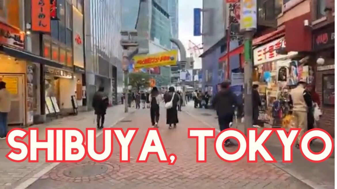 Shibuya Walking Tour with Kenji, Tokyo, Japan
