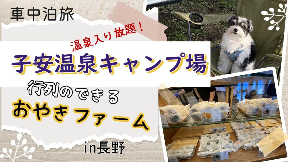 【車中泊・長野】温泉入り放題：子安温泉キャンプ場　おやきファームの絶品おやき