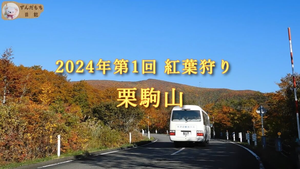2024年　第１回紅葉狩り　栗駒山