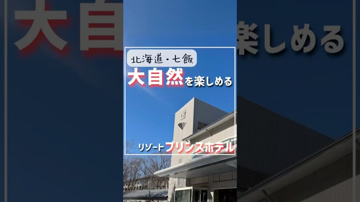 雪景色が綺麗すぎる北海道のプリンスホテル