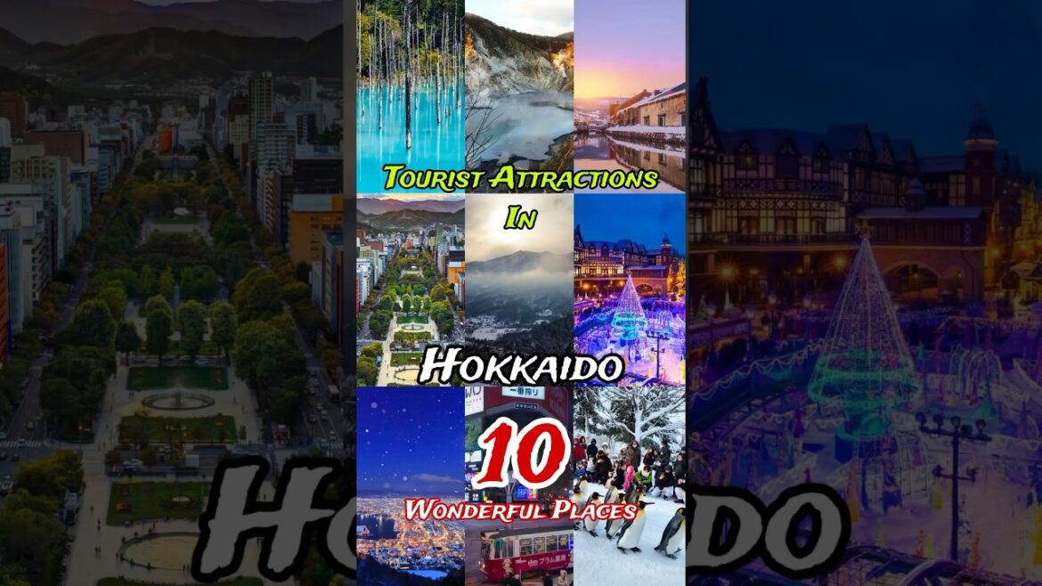 Top 10 Best Places to Visit in Hokkaido 🥰 | Japan 🇯🇵 😍 #shorts #short