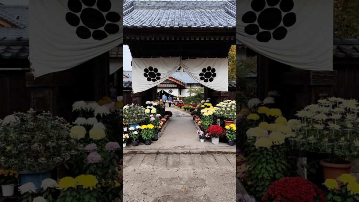 会津武家屋敷　福島　Aizusamurairesidence, Fukushima　会津风格的武士住宅 福岛　บ้านพักซามูไรสไตล์ไอซุ ฟุกุชิมะ