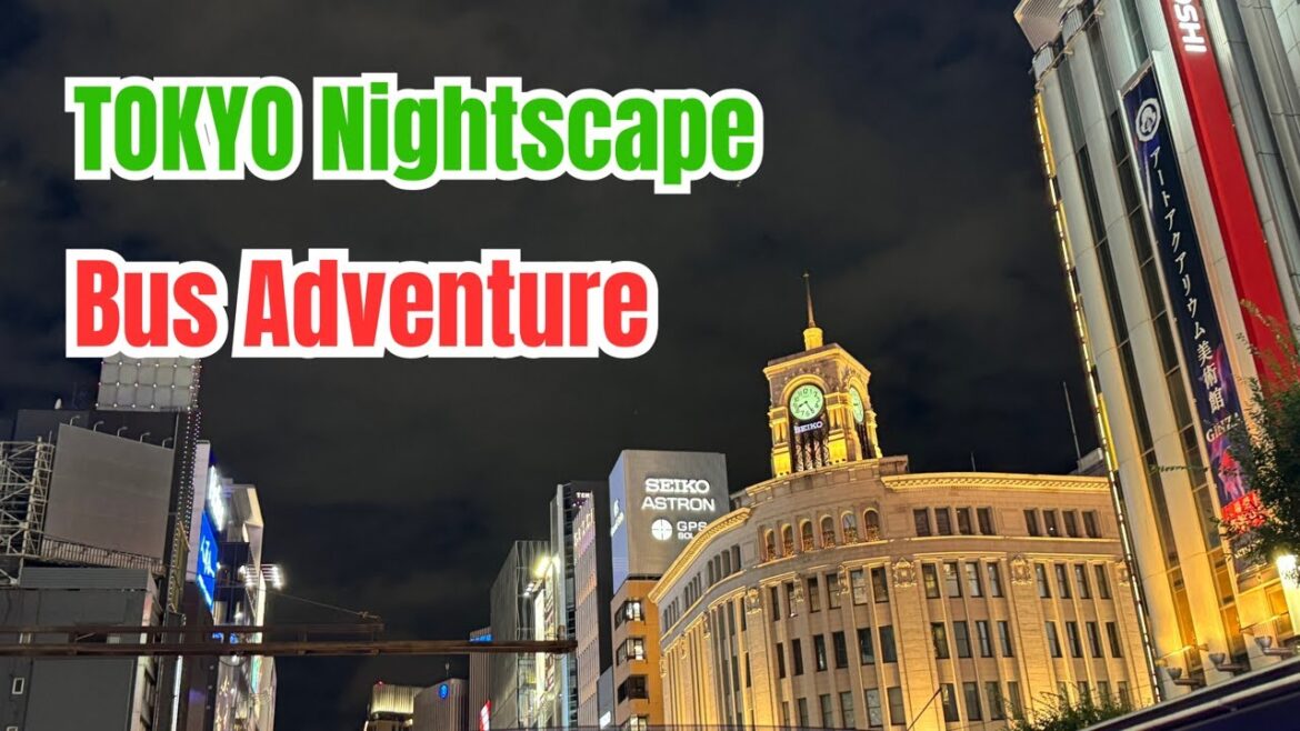 Tokyo Night Tour: Iconic Sights Lit Up Beautifully